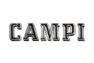 Campi: The Bold Display Font for Vintage Crafts