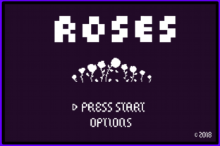 Designing Nostalgia: 8 Bit Roses Display Font Review