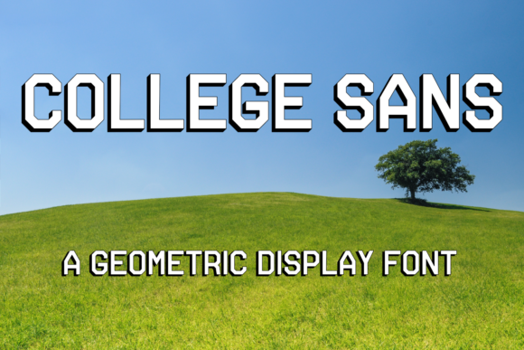 Elevate Campaigns with College Sans Display Fonts
