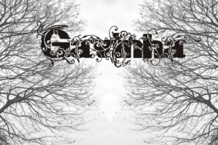 Gavinha: The Perfect Display Font for Handmade Brands