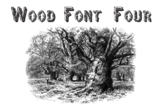 Wood Four: The Display Font for Nature Campaigns